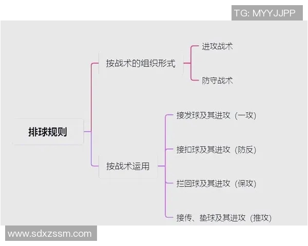 深圳排球队反击战术分析与得失评估探讨