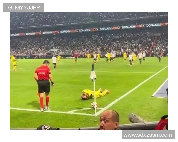 巴西足球明星球迷热情支持球队展现独特文化与激情